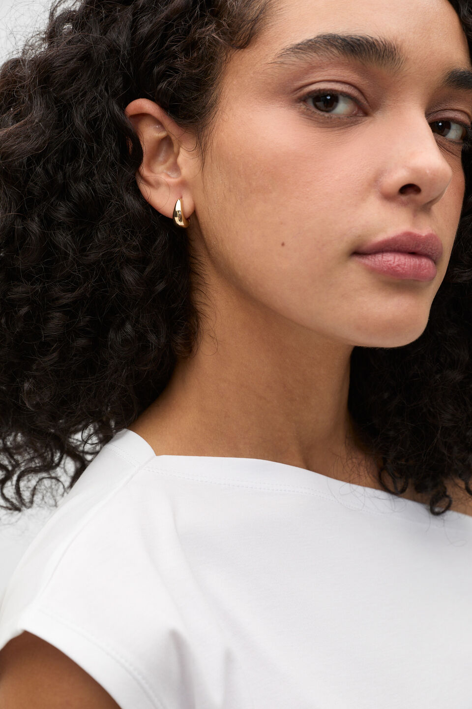Small Hinge Hoop  Gold