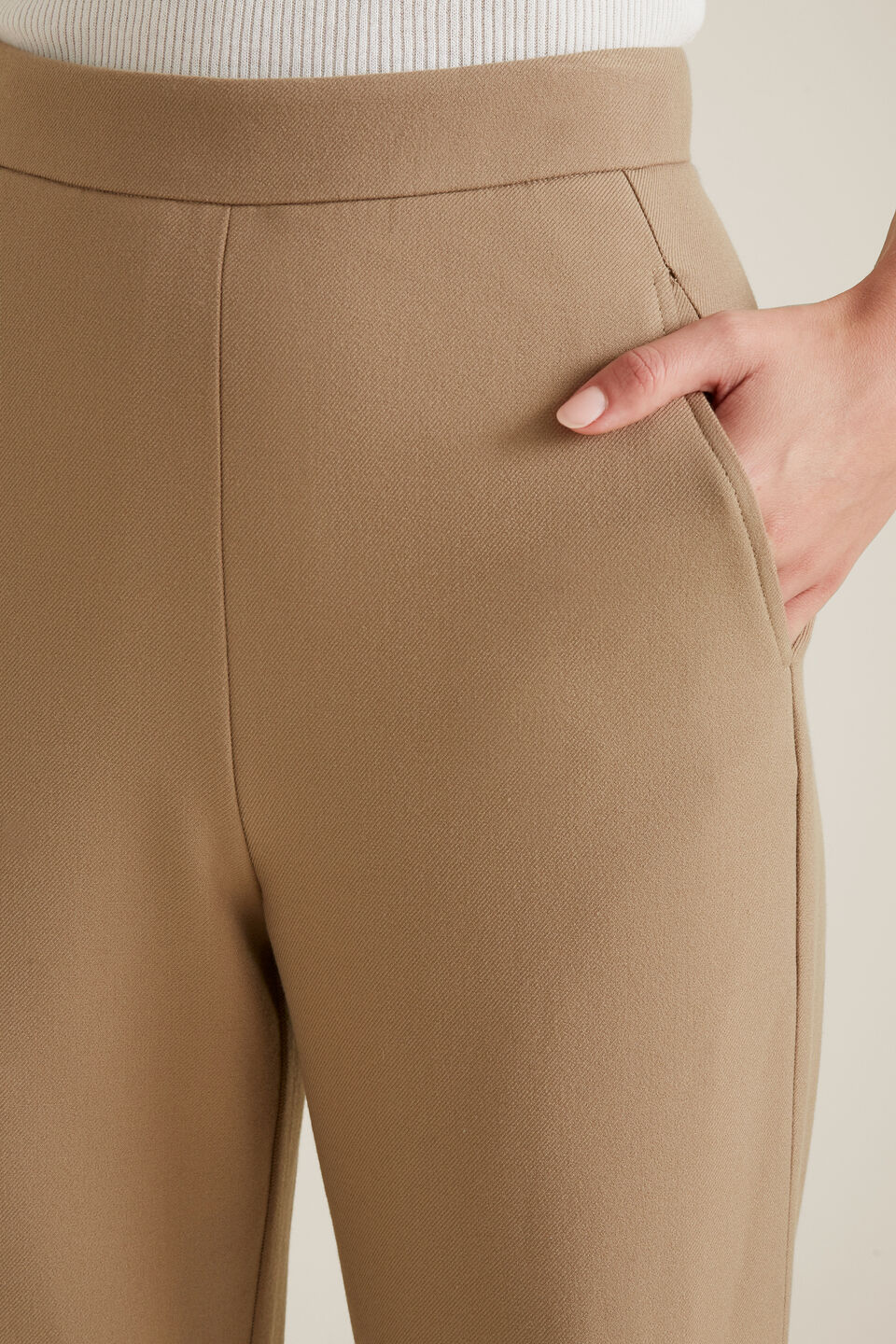 Flat Front Trouser  