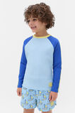 Colourblock Rashvest  Arctic  hi-res