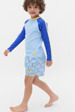 Colourblock Rashvest  Arctic  hi-res