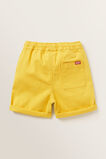 Classic Short    hi-res