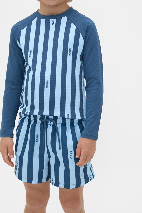 Stripe Logo Boardshort  Washed Navy Stripe  hi-res