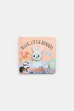 Hello  Little Bunny  Multi  hi-res