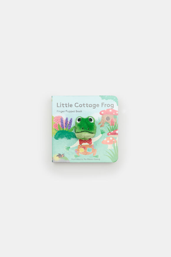 Little Cottage Frog  Multi  hi-res