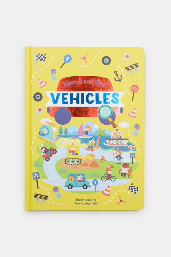Search and Find Vehicles  Multi  hi-res
