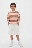 Bold Stripe Sweat  Walnut Stripe  hi-res