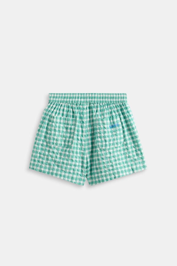 Check Short  Mint Check  hi-res