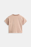 Loose Fit Rib Tee  Walnut Stripe  hi-res