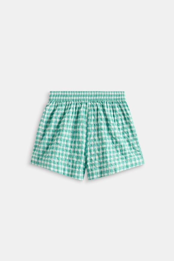 Check Short  Mint Check  hi-res