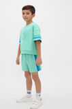 Relaxed Sweat Tee  Washed Mint  hi-res