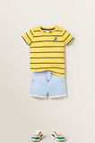 Classic Short    hi-res