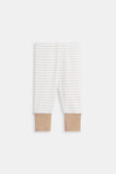 Stripe Rib Legging  Lavender  hi-res