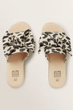 Ocelot Slide    hi-res