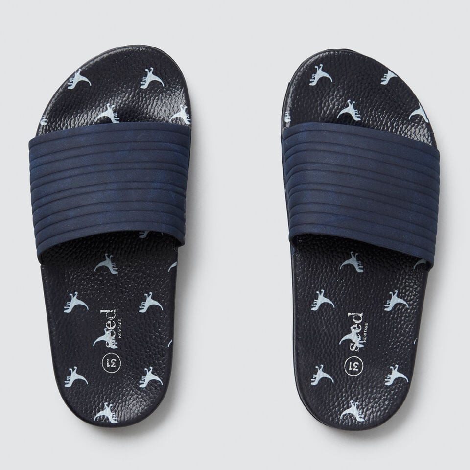 Print Slide  