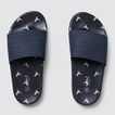 Print Slide    hi-res