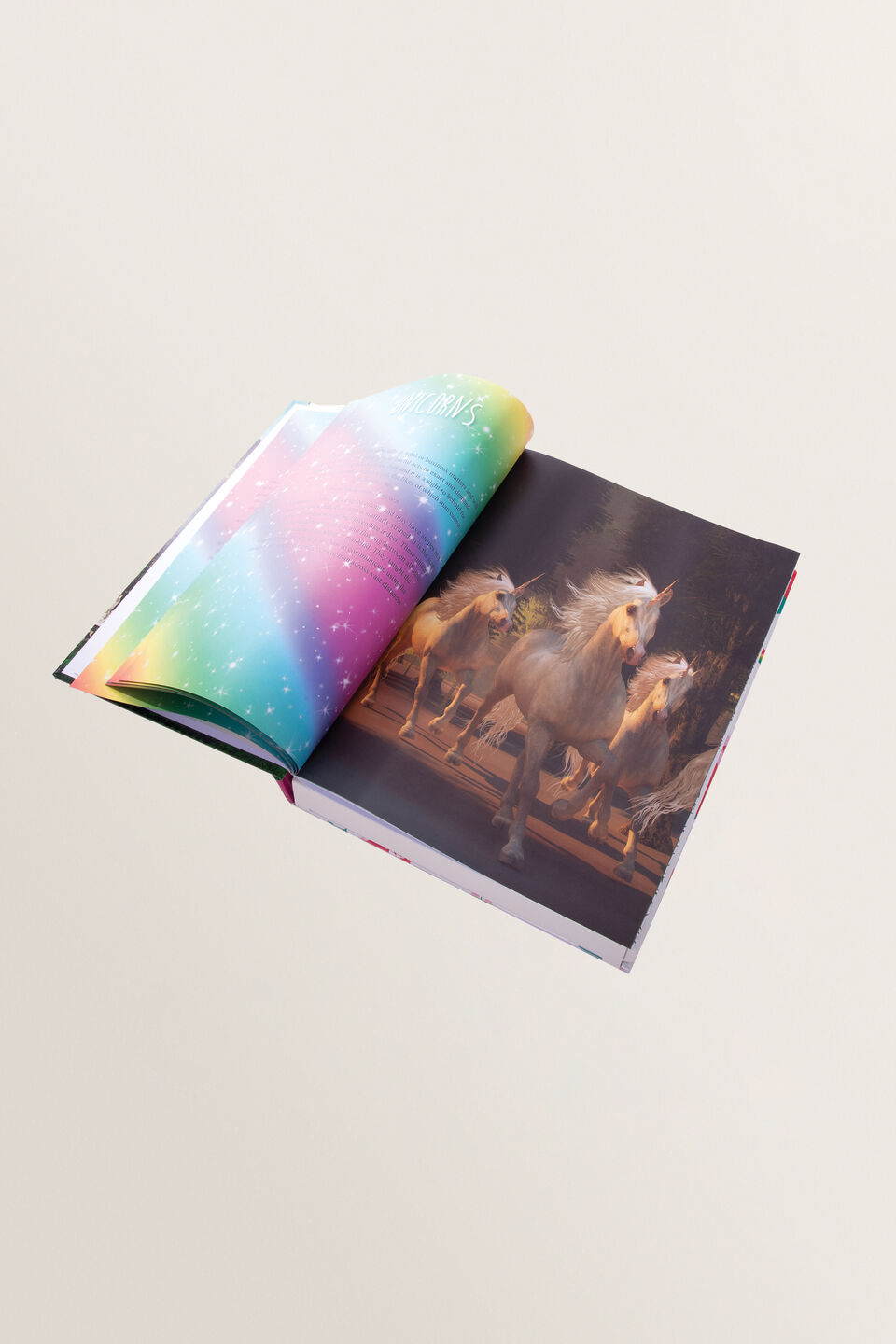 Puzzle Book Unicorn  