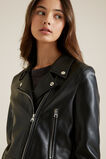Moto Jacket    hi-res