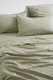 Alba Standard Pillowcase   Olive  hi-res