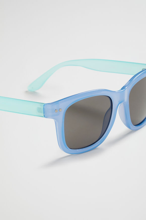 Colourblock Waymax Sunglasses  Blue  hi-res