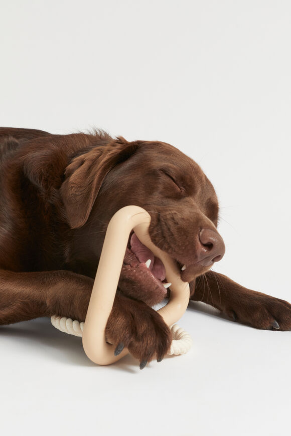 Pet Toy  Light Chestnut  hi-res