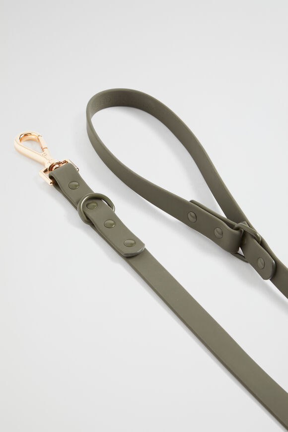 Pet Lead  Dark Fern  hi-res