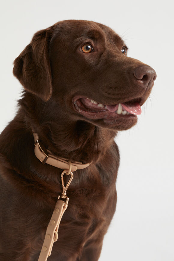 Pet Lead  Light Chestnut  hi-res