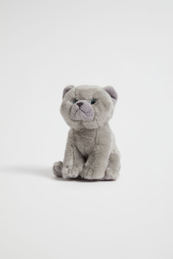 Living Nature Short Hair Kitten  Grey  hi-res