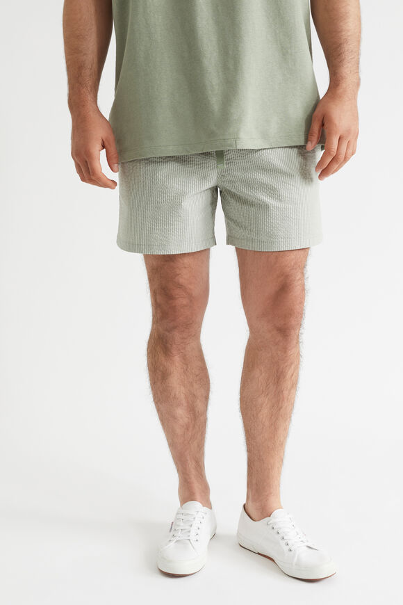 Mens Stripe Short  Eucalyptus  hi-res