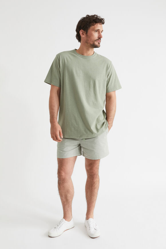 Mens Stripe Short  Eucalyptus  hi-res