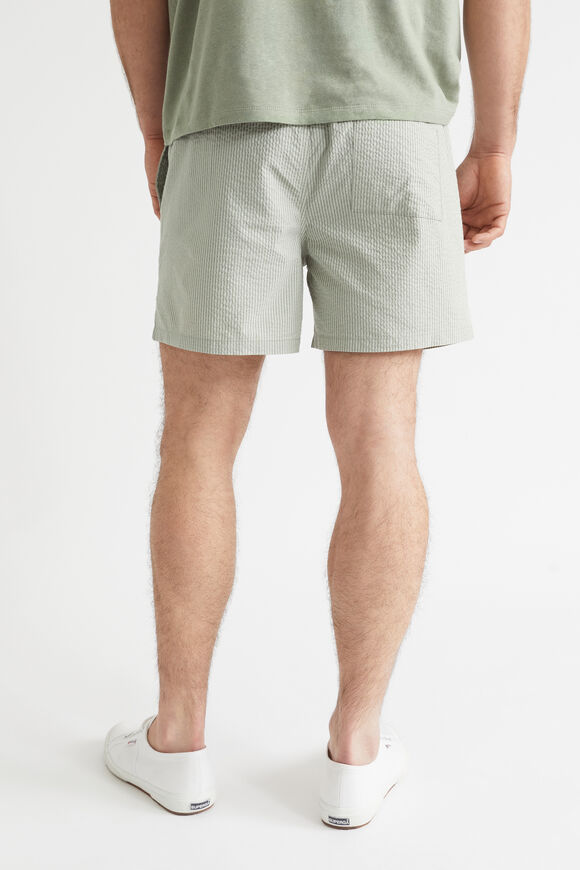 Mens Stripe Short  Eucalyptus  hi-res
