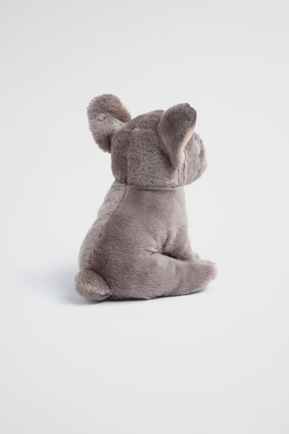 Living Nature French Bulldog Puppy  Brown