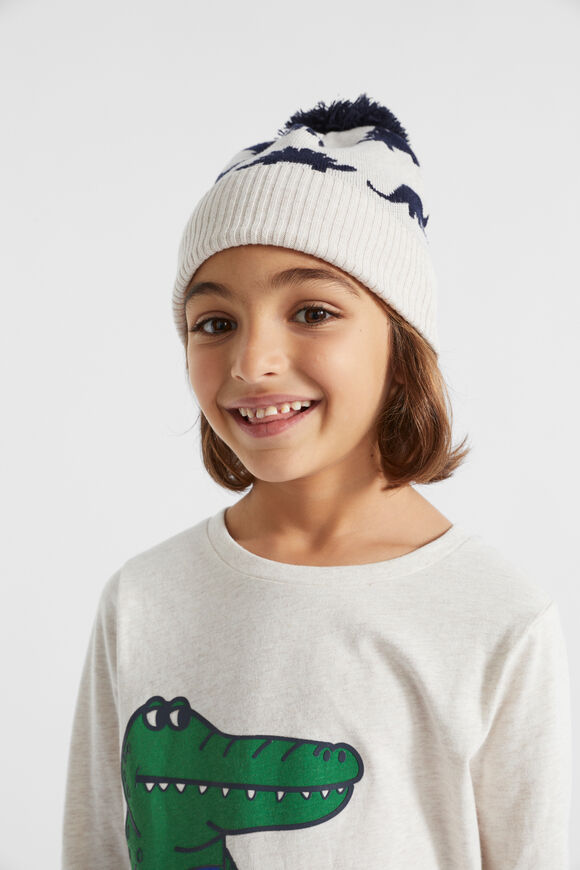 Dino Beanie  Multi  hi-res