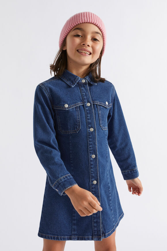 Collared Denim Dress  Indigo  hi-res