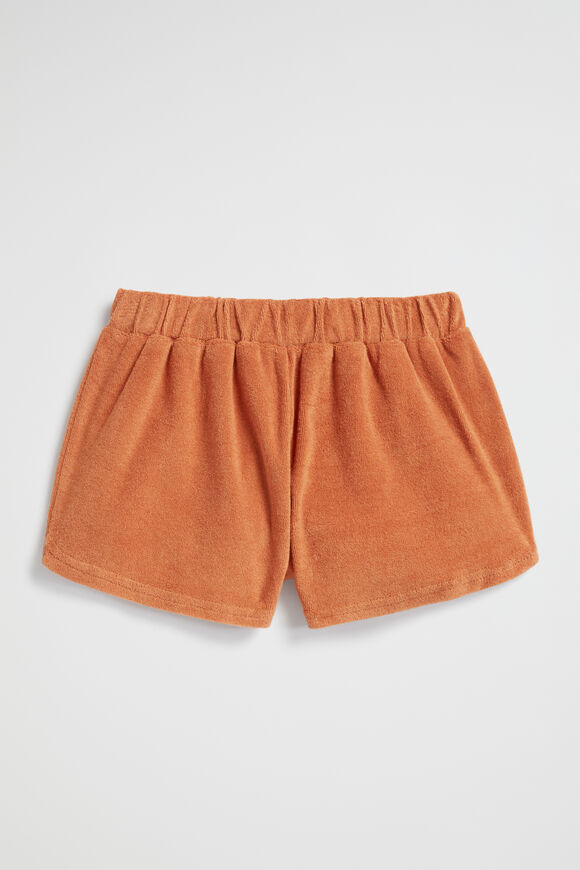 Terry Short  Cinnamon  hi-res