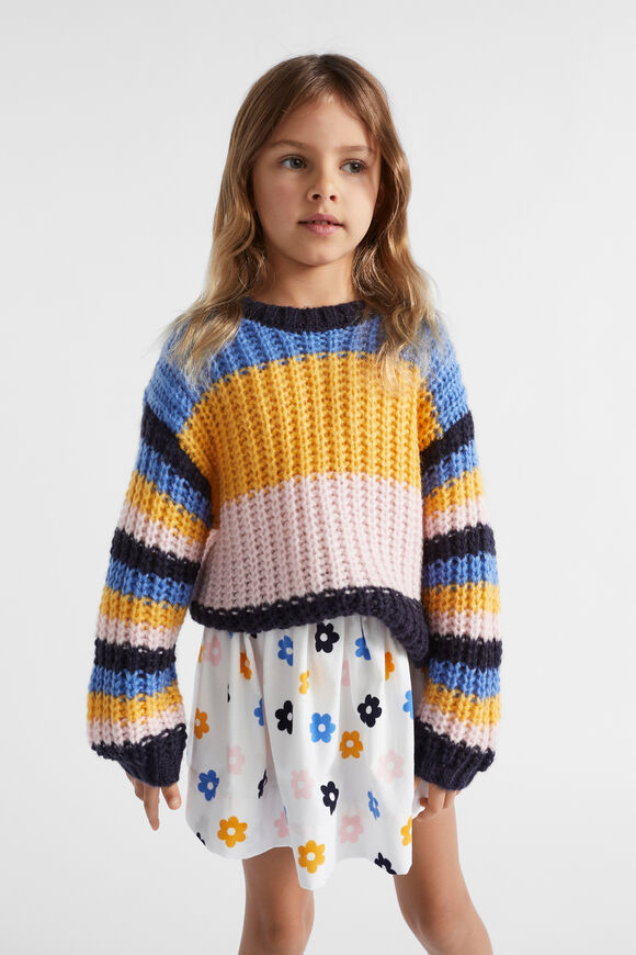 Stripe Knit  Multi  hi-res
