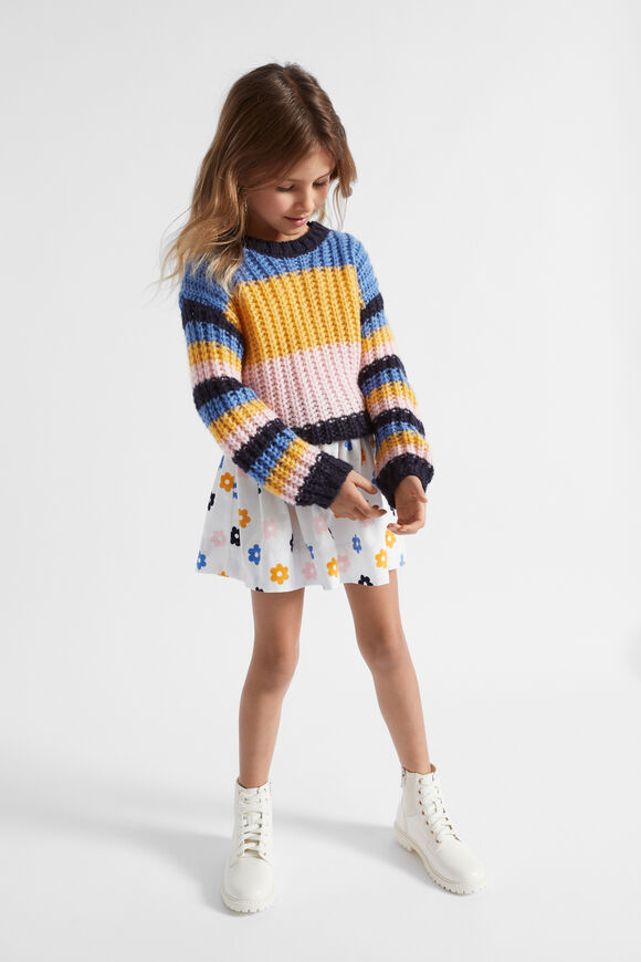 Stripe Knit  Multi  hi-res