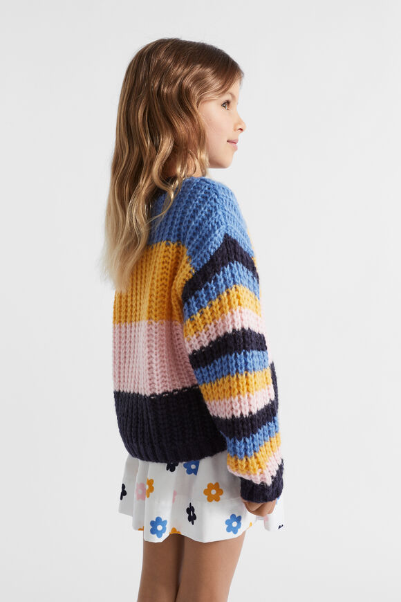Stripe Knit  Multi  hi-res