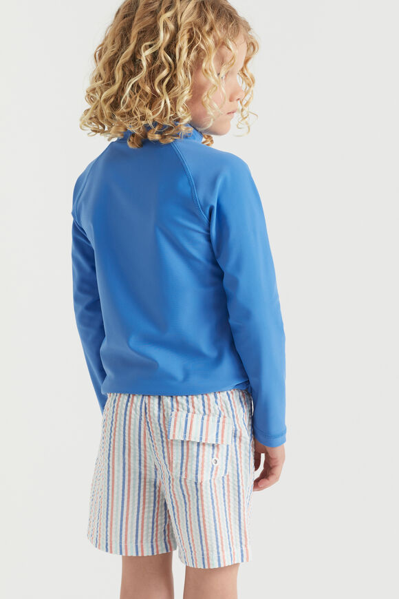 Stripe Boardshort  Multi  hi-res