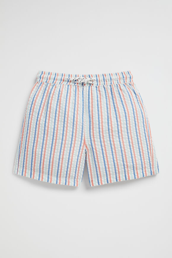 Stripe Boardshort  Multi  hi-res