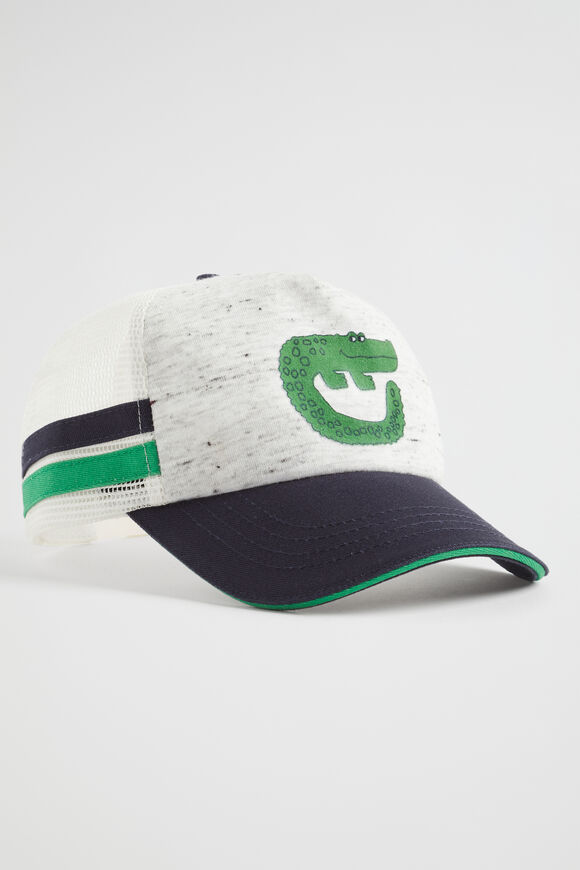 Crocodile Cap  Multi  hi-res