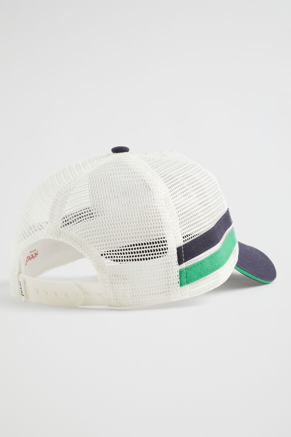 Crocodile Cap  Multi  hi-res