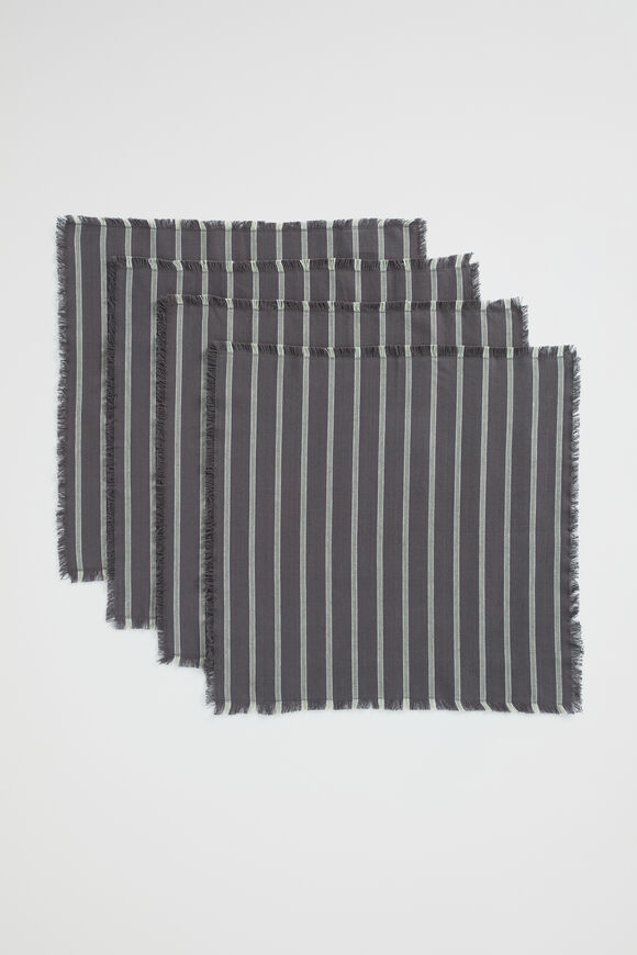 Levi Napkin Set Of 4  Graphite  hi-res