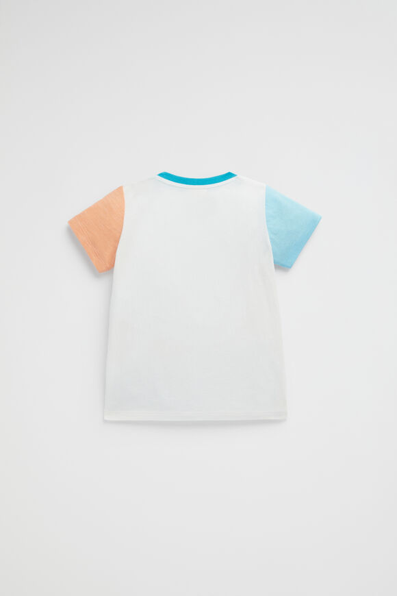Surf Van Tee  Canvas  hi-res