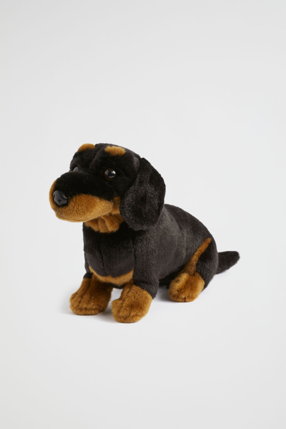 Living Nature Dachshund  Multi