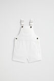 Core Logo Overall  Canvas Wash  hi-res