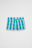 Check Swim Short  Multi  hi-res