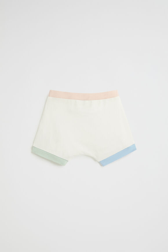 Spliced Bloomer  Multi  hi-res