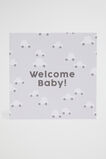 Large Welcome Baby Car Card  Multi  hi-res