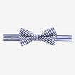 Stripe Bow Tie    hi-res