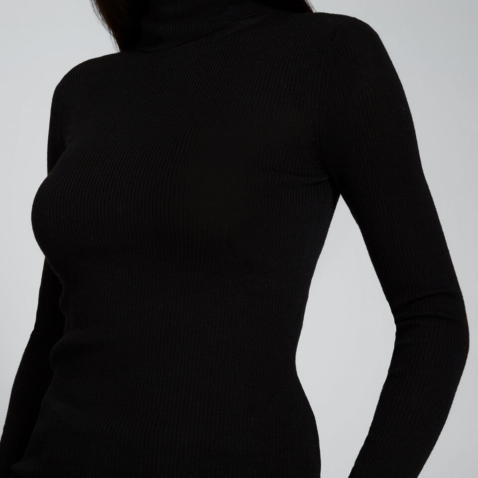 Fitted Rib Roll Neck  